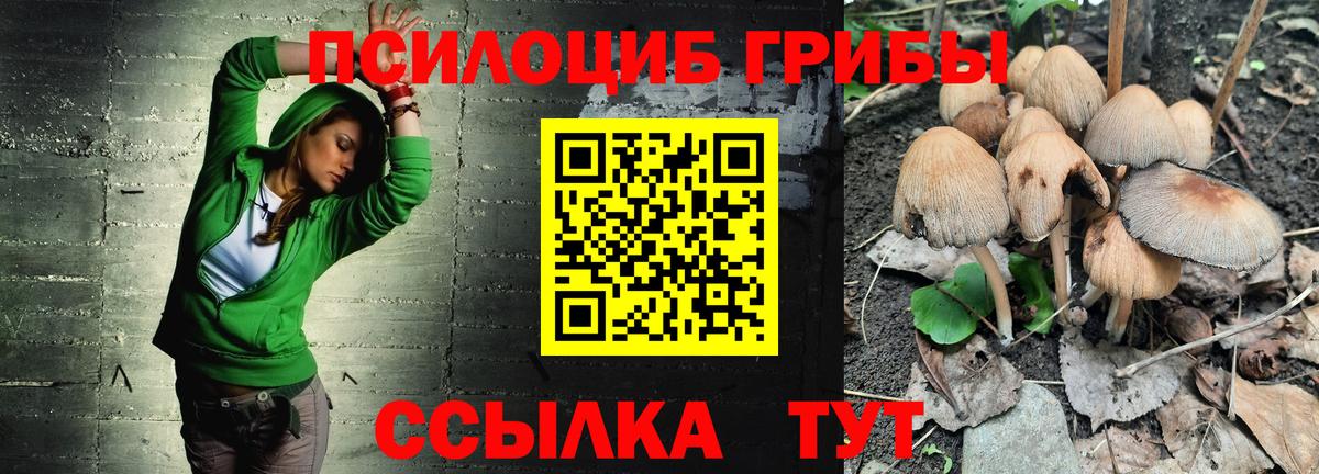 Псилоцибиновые грибы мицелий Миллерово